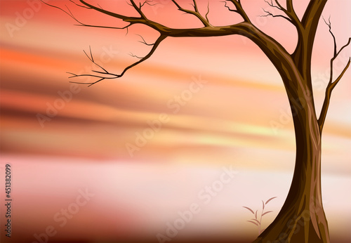 Fototapeta Naklejka Na Ścianę i Meble -  Sunset. A tree without leaves against the background of the evening sky. Vector illustration.