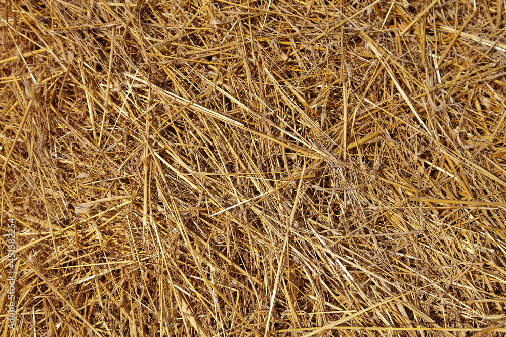 Brown dry hay bale background texture at autumn day, forage preperation on the Farm Brown dry hay bale background texture at autumn day, forage preperation on the Farm