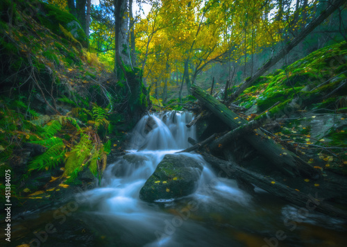 River waterfall landscape in autumn forest with orange and yellowish leaves of the trees at Guadarrama national park  Lozoya river  Spain