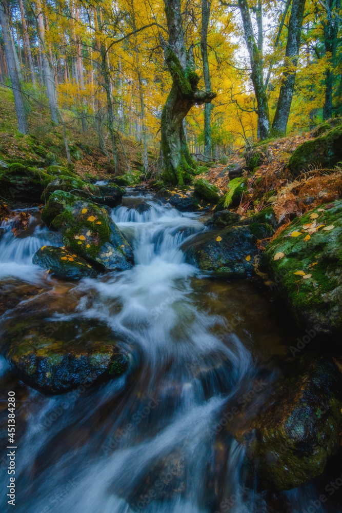 River waterfall landscape in autumn forest with orange and yellowish leaves of the trees at Guadarrama national park, Lozoya river, Spain River waterfall landscape in autumn forest with orange and yellowish leaves of the trees at Guadarrama national park, Lozoya river, Spain