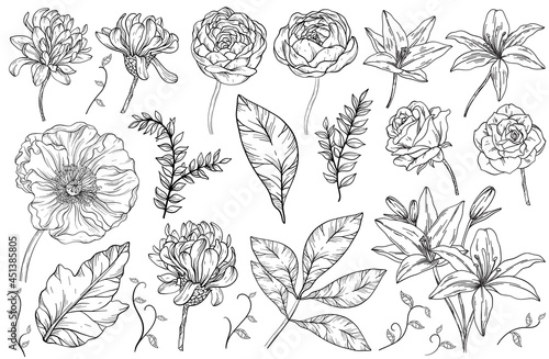 Vintage floral set. Flowers and leaves, summer plants. Floral design. Black and white