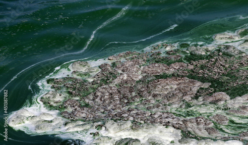 Fényképezés Algal bloom in a river, polluted green water.