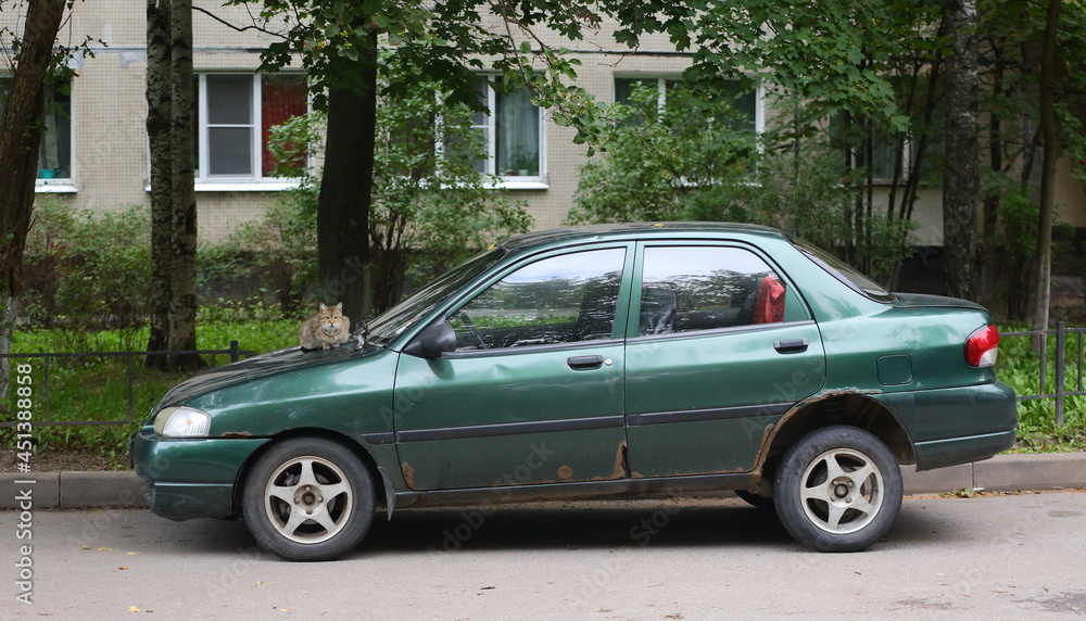 An old dark green car with a cat on the hood in the courtyard of a residential building, Bolshnevikov Avenue, St. Petersburg, Russia, August 2021