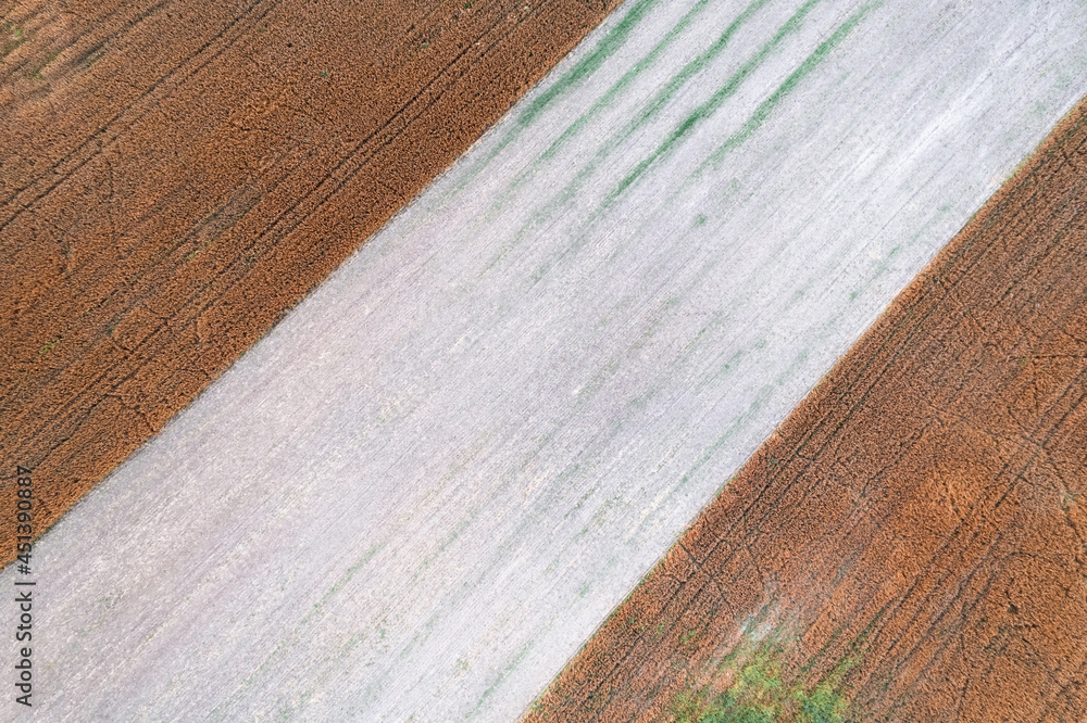 Aerial top down drone shot of interesting pattern on a rural countryside crop field