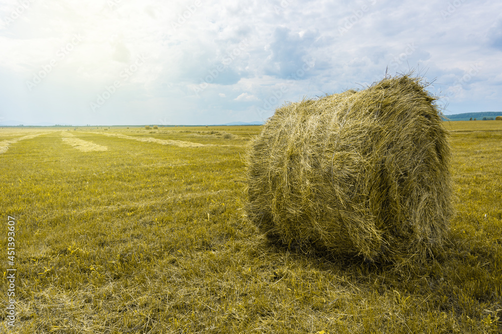 Haystack on a farm field. Rural landscape. A field of mowed grass against a background of a cloudy sky. Haystack on a farm field. Rural landscape. A field of mowed grass against a background of a cloudy sky.