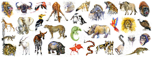 realistic african animals watercolor collection isolated on white. wild nature. wildlife. tropical fauna. 