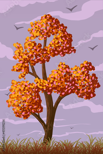 vector autumn deciduous tree with orange leaves