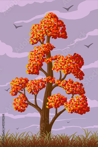 vector autumn deciduous tree with orange leaves