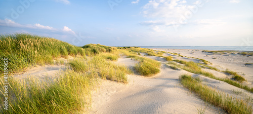 Dune beach panorama near the coast