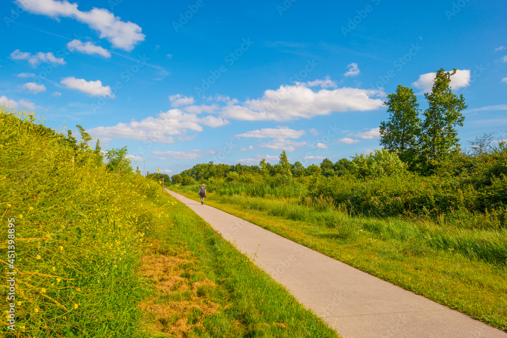 Path in a sunlit green forest in bright sunlight in summer, Baarn, Lage Vuursche, Utrecht, The Netherlands, August 15, 2021