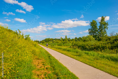 Path in a sunlit green forest in bright sunlight in summer, Baarn, Lage Vuursche, Utrecht, The Netherlands, August 15, 2021