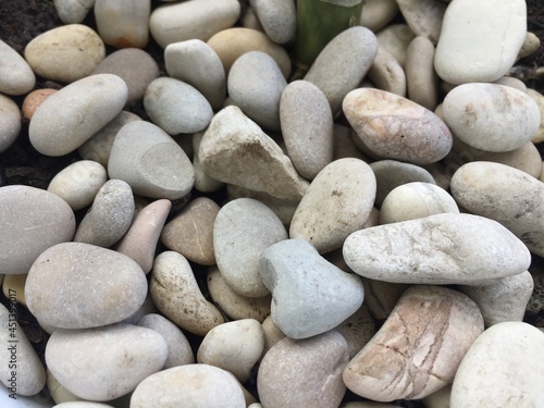 River stones are commonly used as planting media to be placed on pots