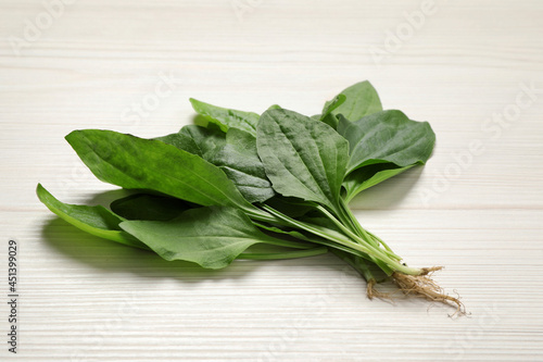 Broadleaf plantain leaves on white wooden table, closeup photo