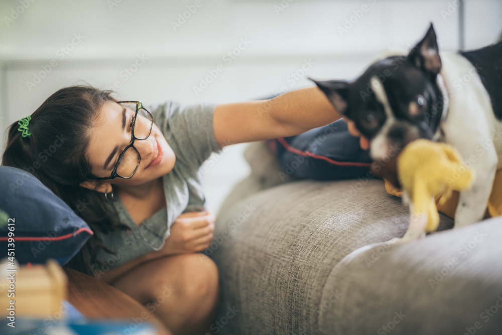 a beautiful young girl playing with her french bulldog, the dog was sitting on the sofa, home lifestyle concept, chilling and cozy, cute dog and owner, pet at home. a beautiful young girl playing with her french bulldog, the dog was sitting on the sofa, home lifestyle concept, chilling and cozy, cute dog and owner, pet at home.