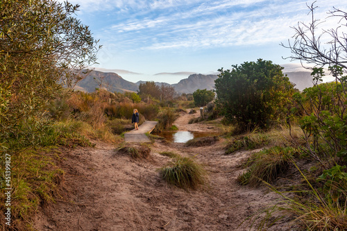 The Tokai park on a winter morning. Tokai forest park, South Africa.