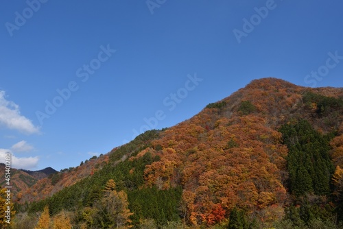 Mountains covered with red trees in autumn
