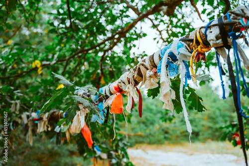 Ribbons on a tree left by tourists to return. Tourist tradition