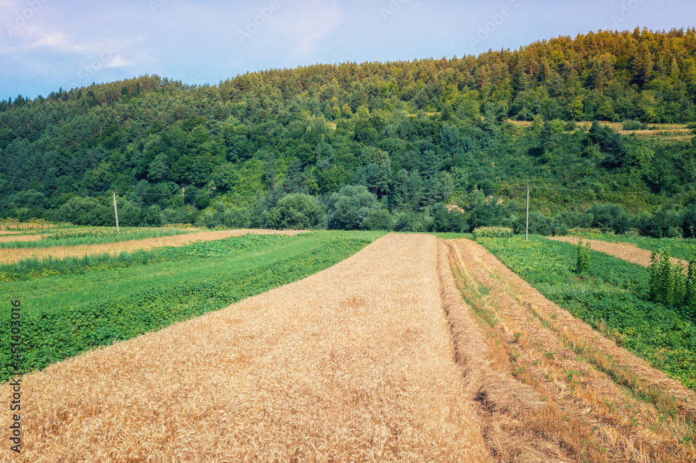 View from above of countryside. View of cultivated fields and green forest on the hills in summer View from above of countryside. View of cultivated fields and green forest on the hills in summer