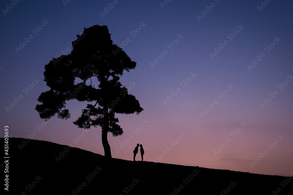 A couple next to a beautiful sunset and a big tree