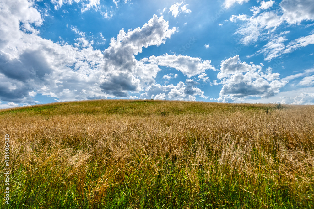 landscape with fields, meadow and dramatic sky in mecklenburg western pomerania landscape with fields, meadow and dramatic sky in mecklenburg western pomerania