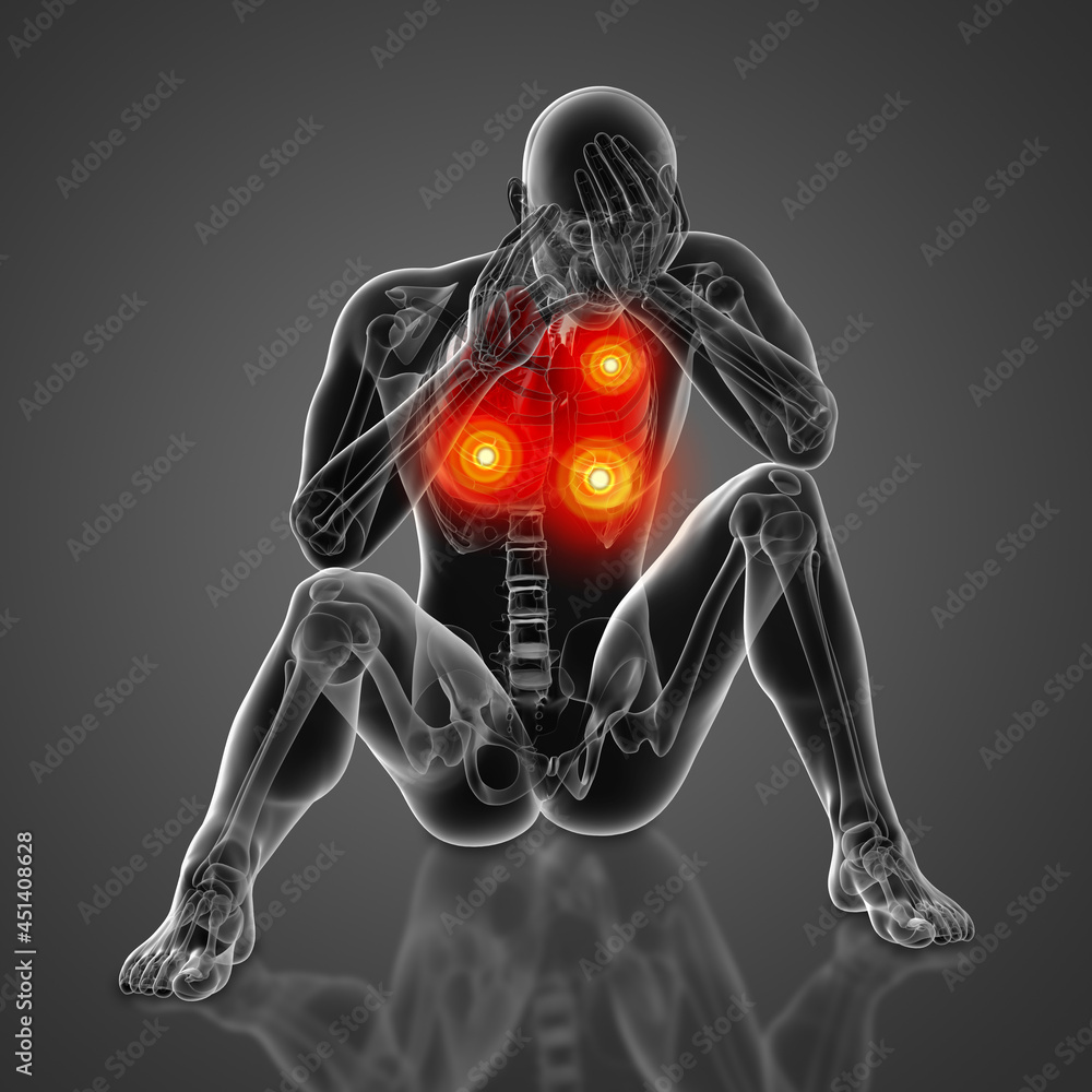 3D medical illustration - lungs front view 3D medical illustration - lungs front view
