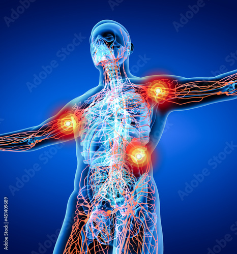 3d render orange lymphatic system - bottom view