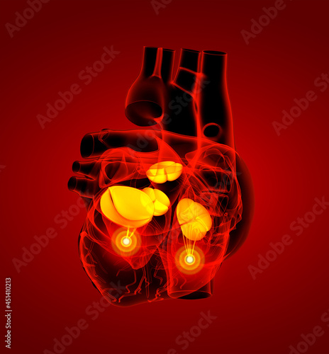 3d render Heart valve - side view