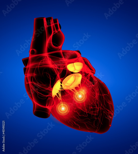 3d render Heart valve - front view