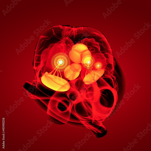 3d render Heart valve - top view