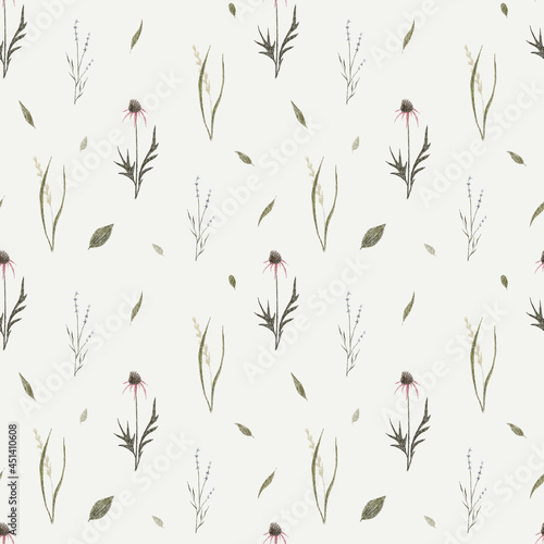 Summer meadow. Floral seamless pattern. Wild flowers and herbs.