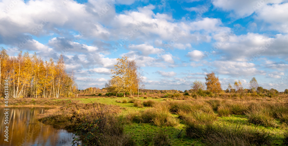 Pool and heather, moorland of nature reserve Takkenhoogte, Zuidwolde, Drenthe, Netherlands Pool and heather, moorland of nature reserve Takkenhoogte, Zuidwolde, Drenthe, Netherlands