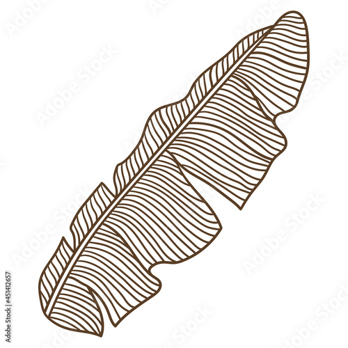 Illustration of stylized banana palm leaf. Decorative image of tropical foliage and plant.