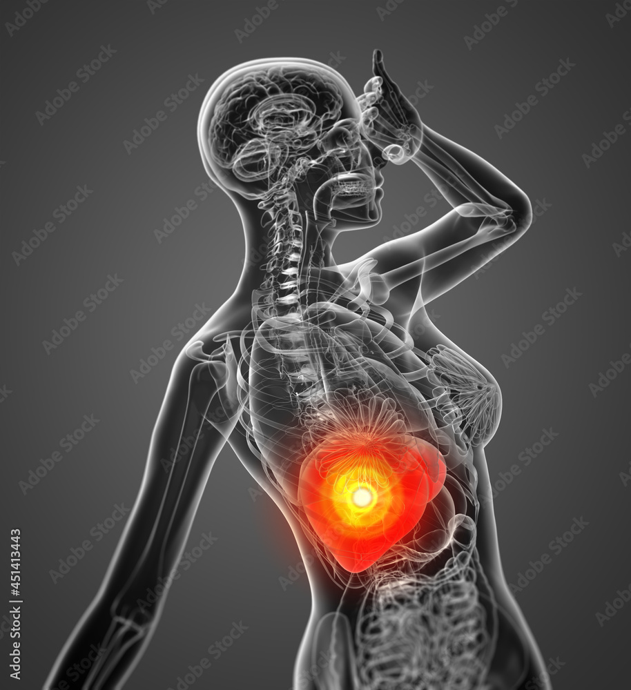 3d render medical illustration of the liver 3d render medical illustration of the liver