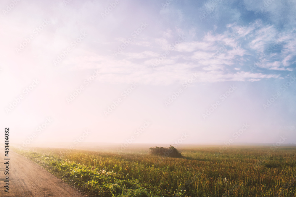A foggy morning over a road with a field. Desktop wallpapers. Rest and inspiration