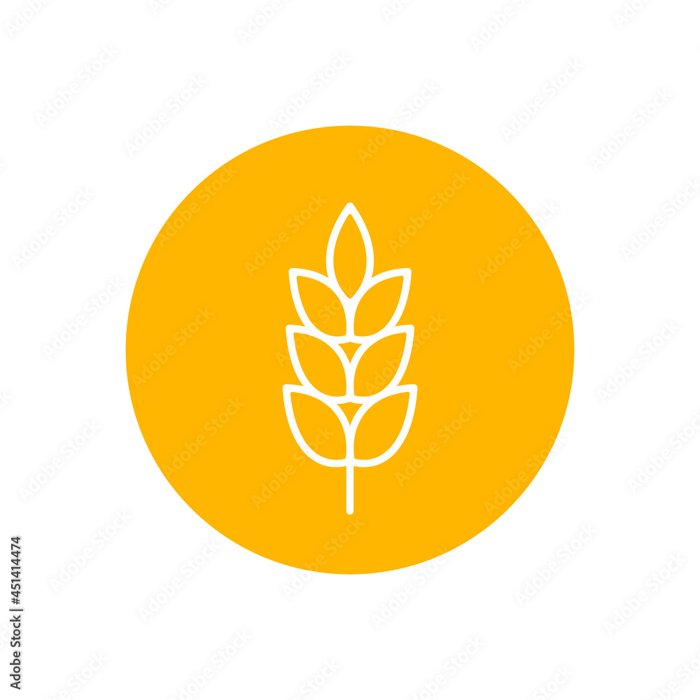 Wheat spike vector icon isolated on circle background, grain ear icon element for organic food design