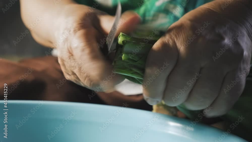 Bok choy get cutting by old asian lady to a bucket. Preparing for making Asian Chinese food menu. Bok choy get cutting by old asian lady to a bucket. Preparing for making Asian Chinese food menu.