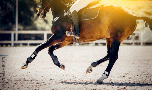 Fototapeta Naklejka Na Ścianę i Meble -  Equestrian sport. Galloping horse.