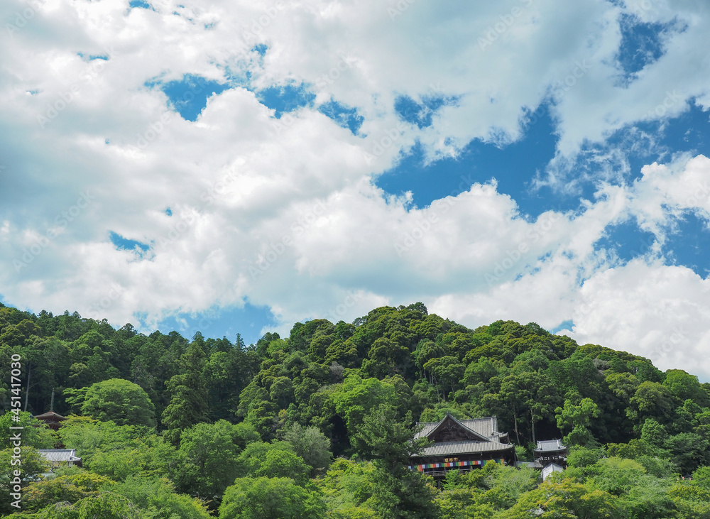 Fototapeta premium 奈良県 長谷寺
