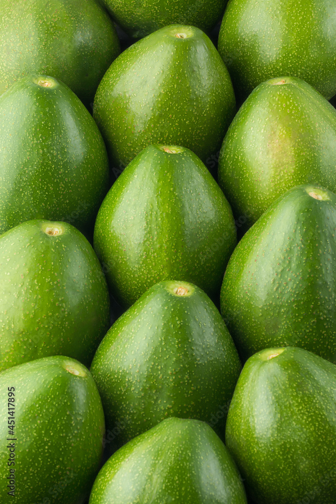 avocados, also known as alligator pear or butter fruit, stacked fresh fruits closeup view avocados, also known as alligator pear or butter fruit, stacked fresh fruits closeup view