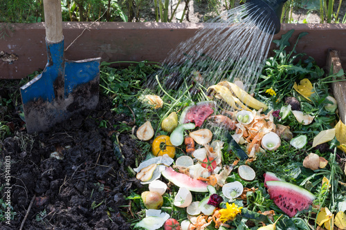 Obraz na plátně Worker watering compost box outdoors full with garden browns and greens and food