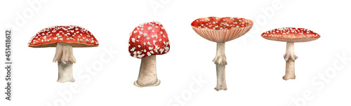 Valokuva Watercolor mushrooms set