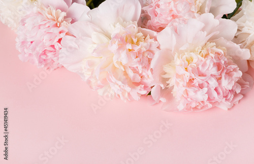 Festive flower pink peony composition on the pink background. Overhead top view, flat lay. Copy space.