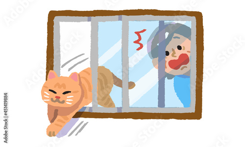 窓の隙間から逃げ出す猫と驚くシニア女性