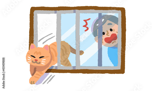 窓の隙間から逃げ出す猫と驚くシニア男性