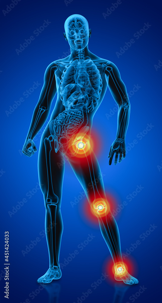 3D rendering of male anatomy 3D rendering of male anatomy