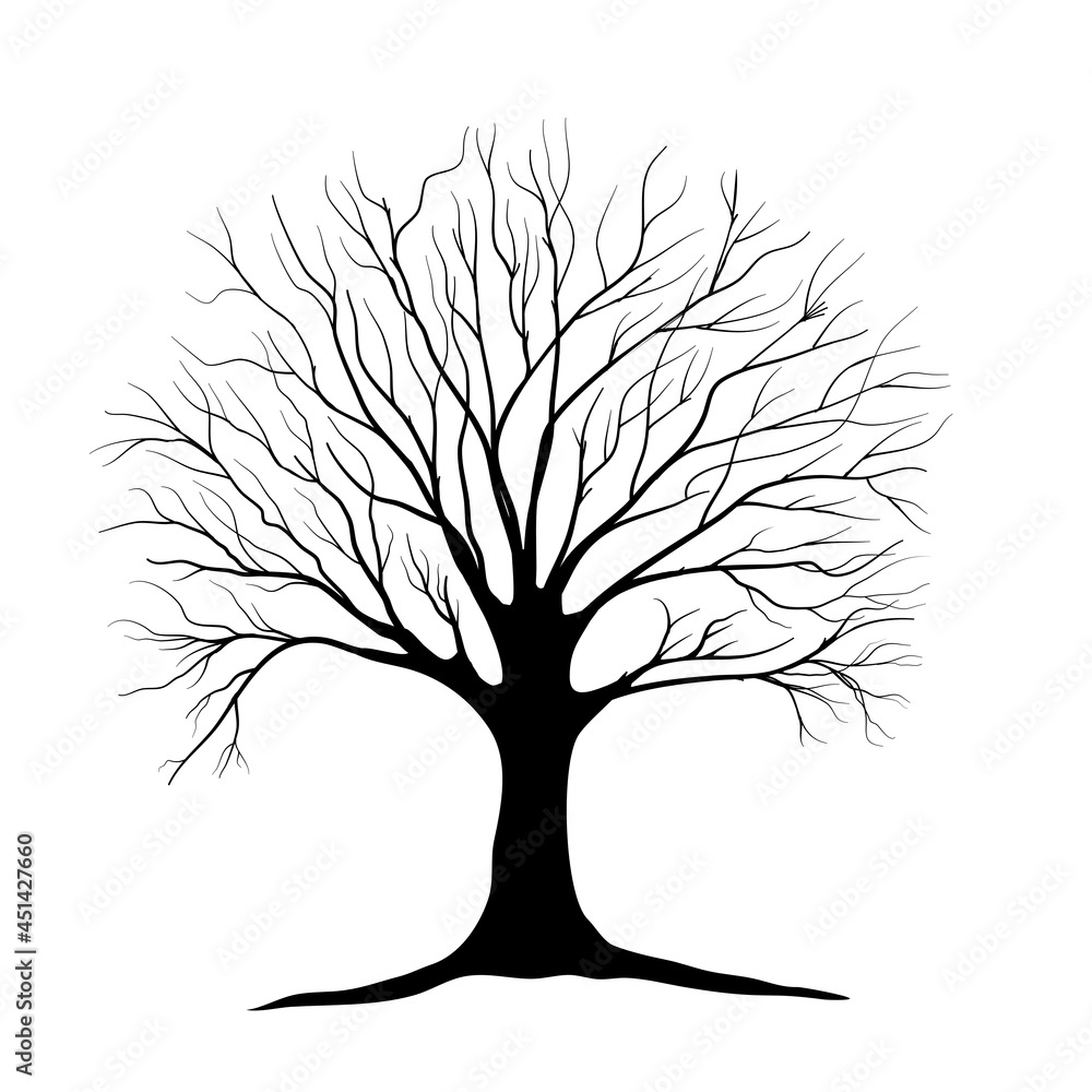 Obraz premium tree with roots
