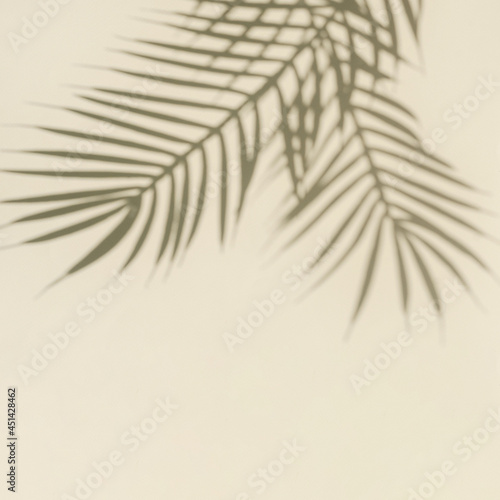 Blurred silhouette and shadow of palm branches from sunlight and beige copy space.