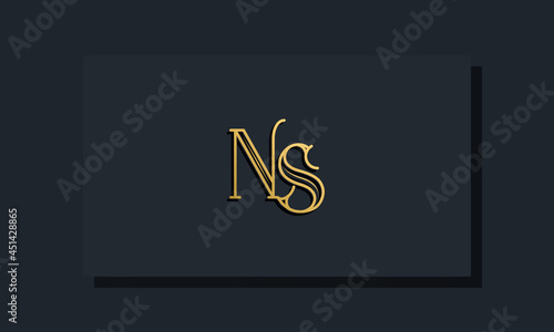 Minimal Inline style Initial NS logo.