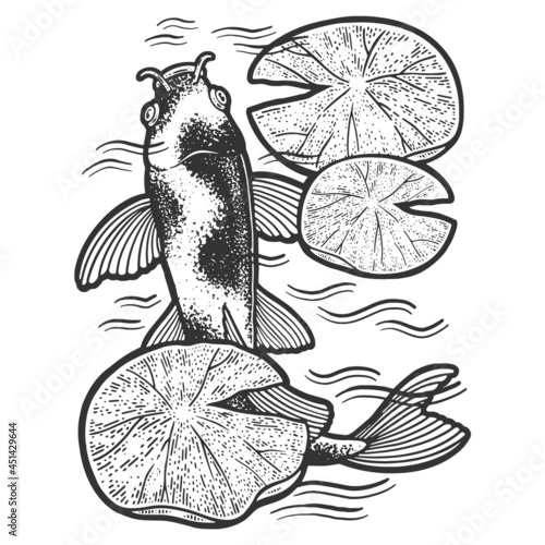koi carp fish and water lily sketch engraving vector illustration. T-shirt apparel print design. Scratch board imitation. Black and white hand drawn image.