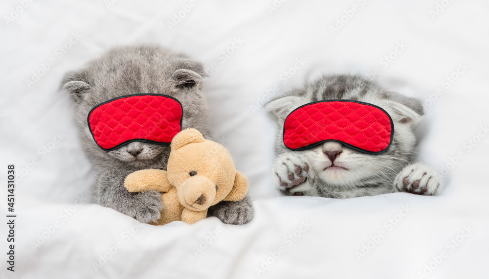 Two cozy kittens sleep together in sleeping mask under blanket on a bed at home. Top down view